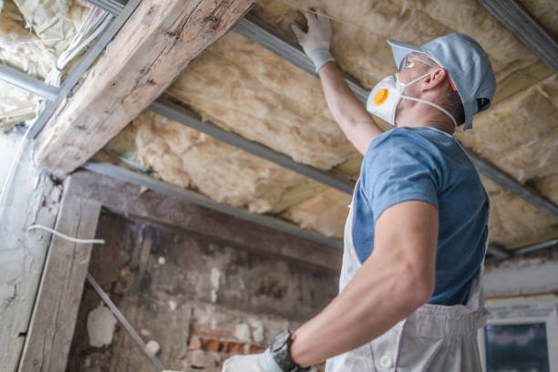 Best Cellulose Insulation  in Catahou, LA