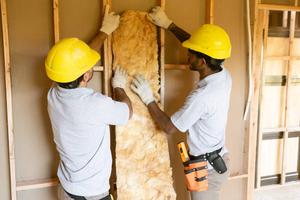 Best Home Insulation Services  in Catahou, LA