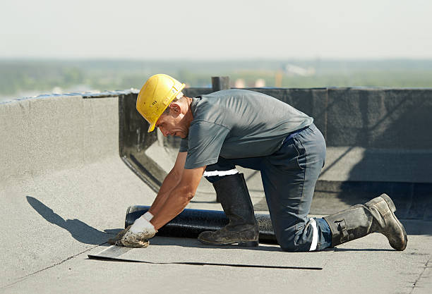 Insulation Replacement Services in Catahoula, LA